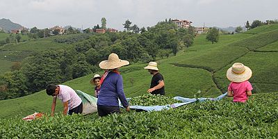 Özel sektör kuru çaya da zam yapılmasını bekliyor
