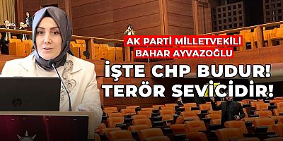 Ayvazoğlu, CHP’ye Çok Ağır İfadelerle Yüklendi