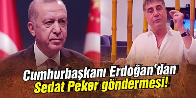 Cumhurbaşkanı Erdoğan'dan Sedat Peker göndermesi!