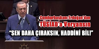 Erdoğan'dan TÜSİAD Başkanına 'Dış Politika' Çıkışı!