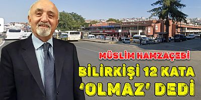 Hamzaçebi: 