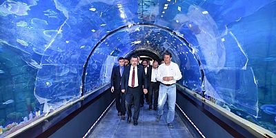 Trabzon’da Tünel Akvaryum’un giriş fiyatları belli oldu