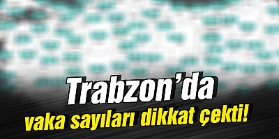 Trabzon'da vaka sayıları dikkat çekti