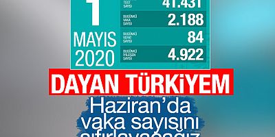 Türkiye'deki Koronavirüs Vakalarında Son Durum