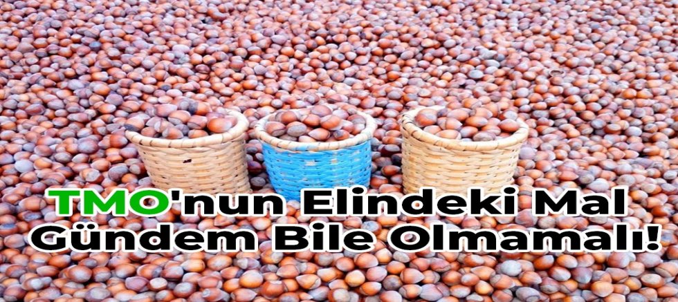 Arslantürk: TMO Piyasa Dengelerini Korumalı !