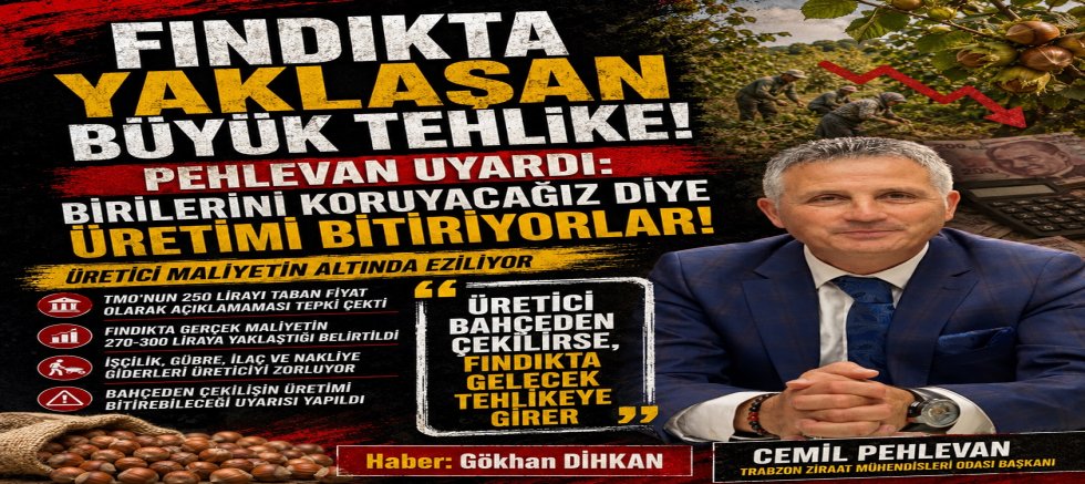 FINDIKTA YAKLAŞAN BÜYÜK TEHLİKE! 