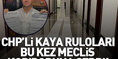 CHP'li Ahmet Kaya ruloları bu kez meclis koridoruna serdi!