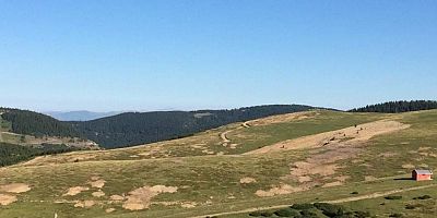 CHP'li Kaya'dan isyan, 'Nasıl kıydınız bu güzelliklere...'