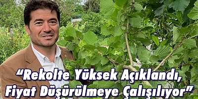 CHP’li Kaya: 