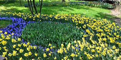 ortahisar belediyesi