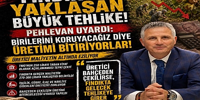 FINDIKTA YAKLAŞAN BÜYÜK TEHLİKE! 