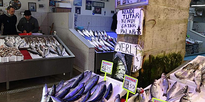Hamsi avı yasağı bitti ama balıkçılar hamsinin yolunu gözlüyor !