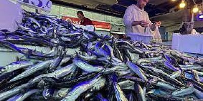 İşte Trabzon'da güncel balık fiyatları