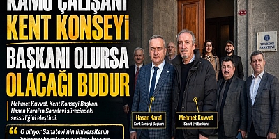 'KAMU ÇALIŞANI KONSEY BAŞKANI OLURSA OLACAĞI BUDUR !'