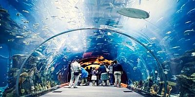 Mecliste Tünel Akvaryum Tartışması