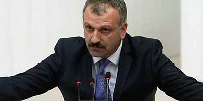 Saral’dan Marksistlere: 