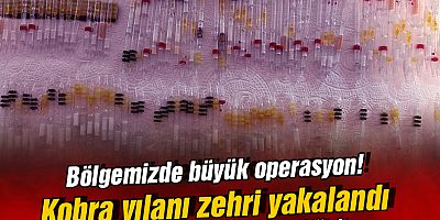 Sarp Sınır Kapısı'nda, kobra yılanı zehri ile arı zehri ele geçirildi