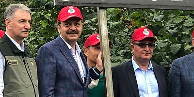 TOBB Başkanı Hisarcıklıoğlu: Fındıkta Önemli Olan Fiyat Değil…