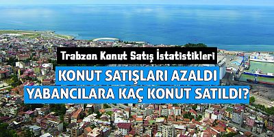 Trabzonda Konut Sat?? ?statistikleri A?kland?