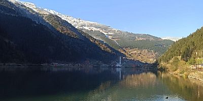 Trabzon'da ölen balıklar için harekete geçildi