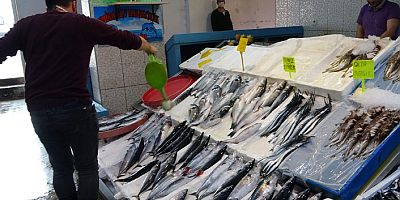 Trabzon'da palamut fiyatları uçtu !