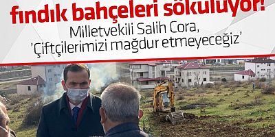 Trabzon'da tehlike saan bce?e kar?? f?nd?k baheleri sklyor!
