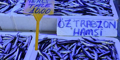 Trabzon'daki tezgahlarda hamsi bolluğu yaşanıyor