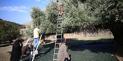 Trabzon'dan göç eden 61 hane, önce kooperatif kurdu, sonra fabrika!