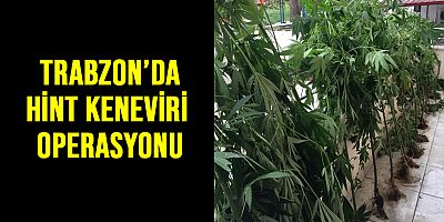 Trabzon Polisinden Uyuşturucu Operasyonu  