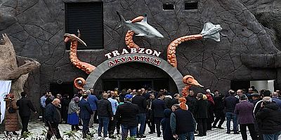 Tünel Akvaryum’u 45 günde 70 bin Kişi Ziyaret Etti !