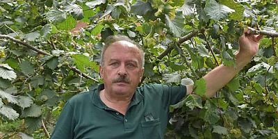 Üretici Fındık Fiyatını Bekliyor !