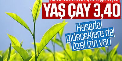 Çay Fiyatı