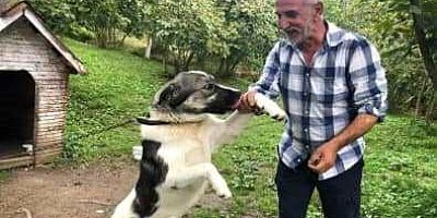 Araklı